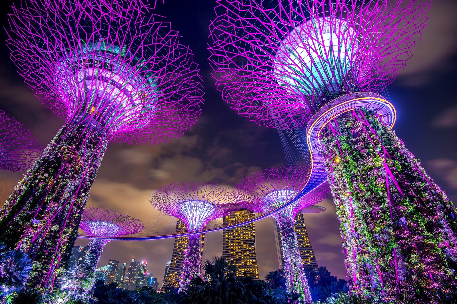 Licencia de Forex bróker en Singapur