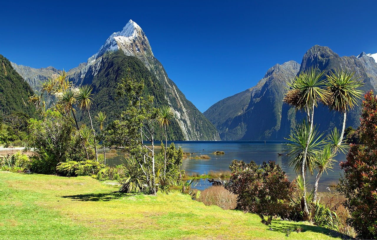 FSP-Lizenz in Neuseeland