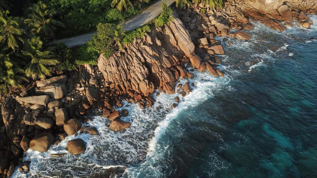 Forex Broker License in Seychelles in 2023