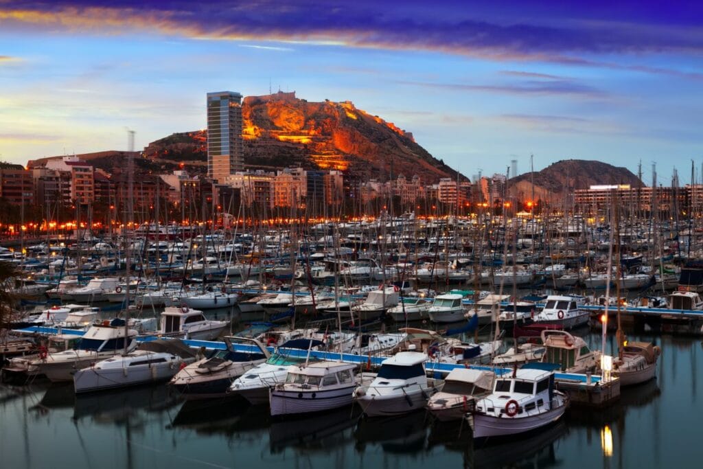 Company for sale in Mauritius