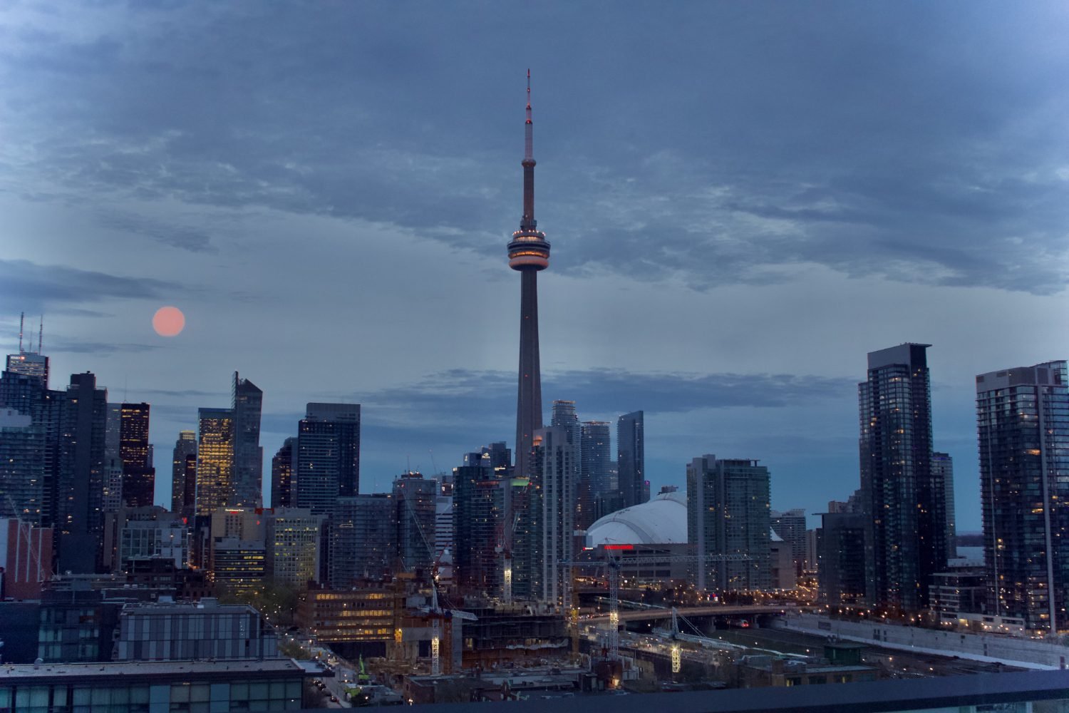 MSB company in Canada with bank accounts for sale