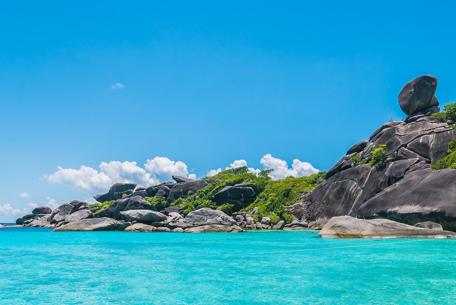 Seychelles Securities Dealer license with MT4 platform for sale