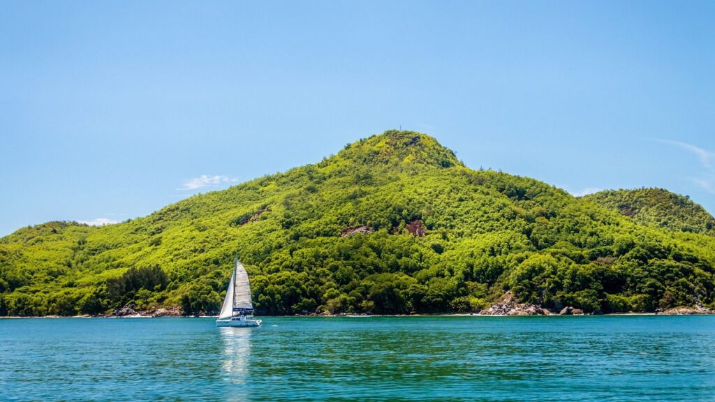 Seychelles FMSB license for sale