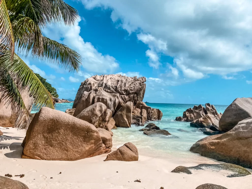 Cripto licencia en Seychelles