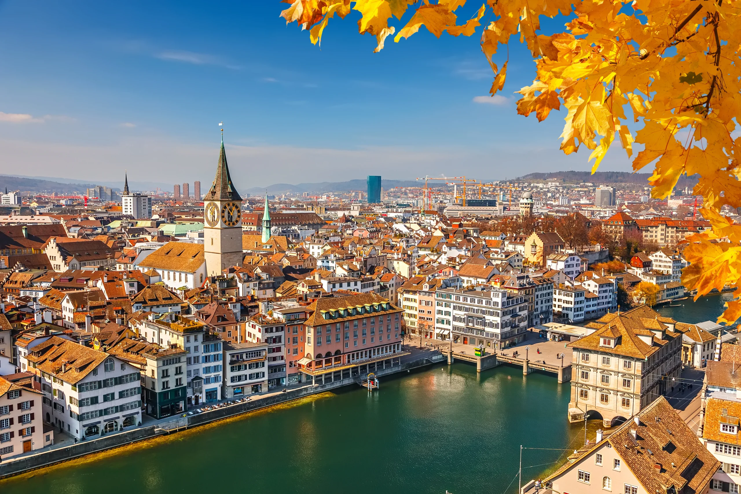 Swiss Portfolio Management Company for sale