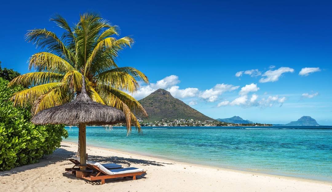 Investment Dealer Licensed Company in Mauritius for Sale:
