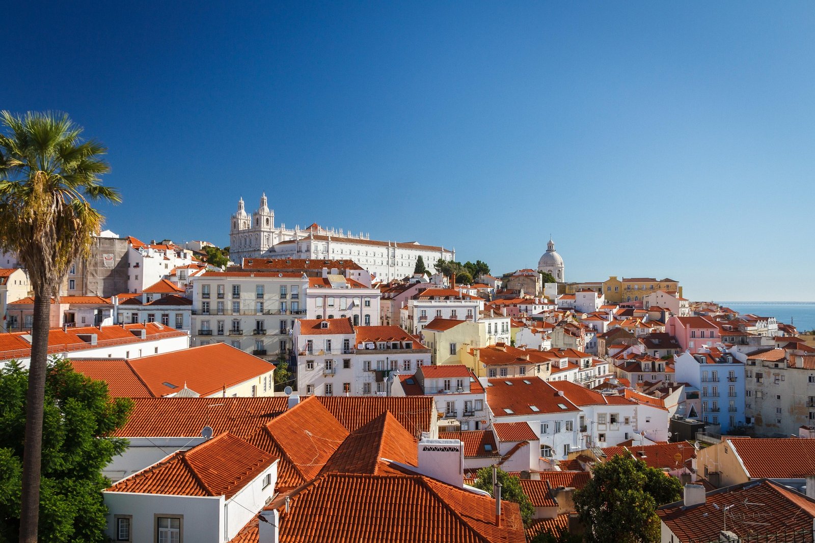 White-Collar Crime Defense Portugal
