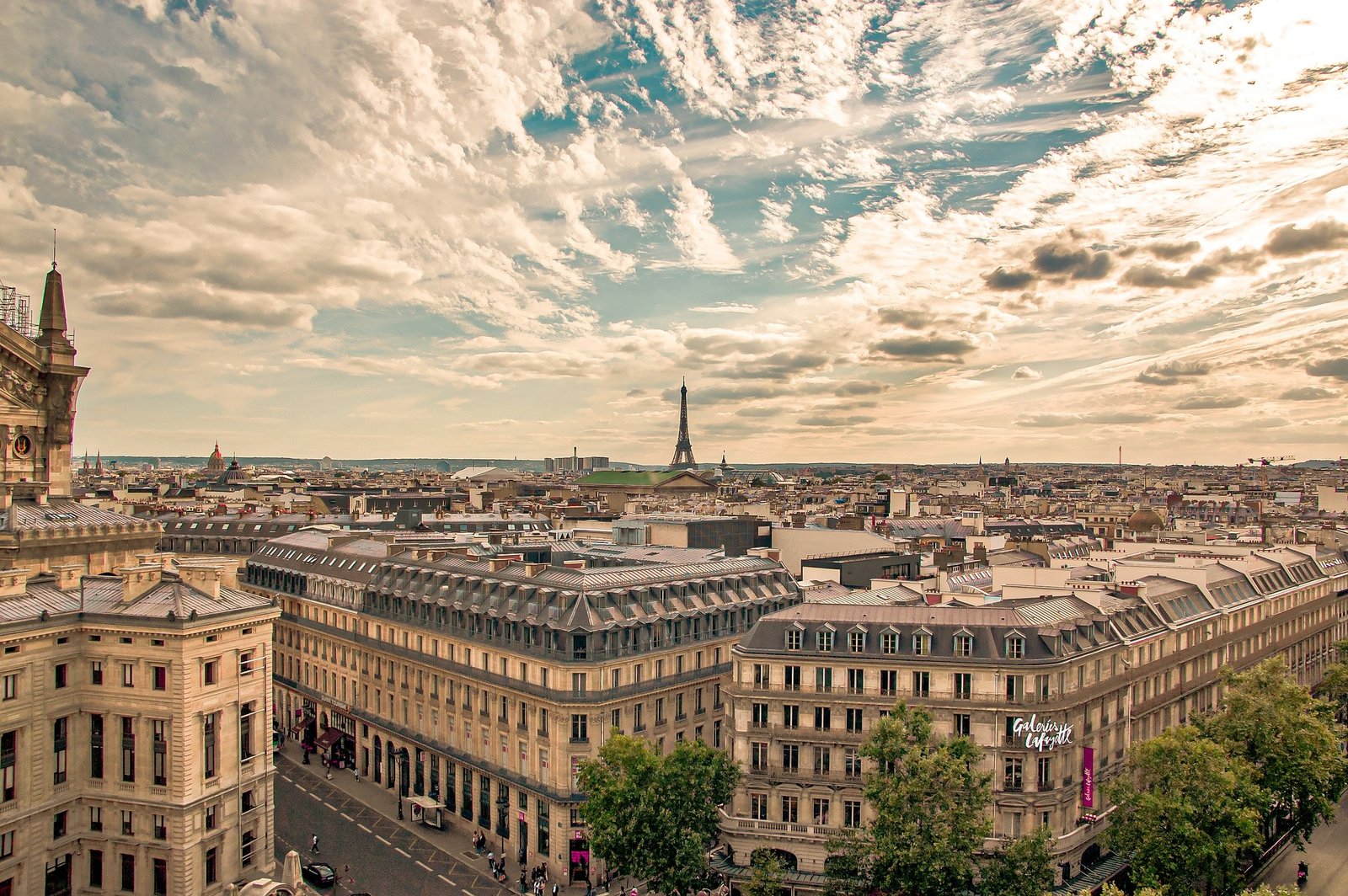Protection of Victims’ Rights France