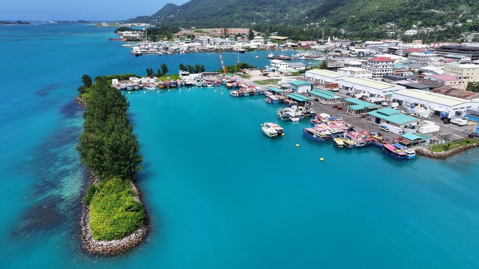 Securities Dealer (SDL) License in Seychelles for Sale