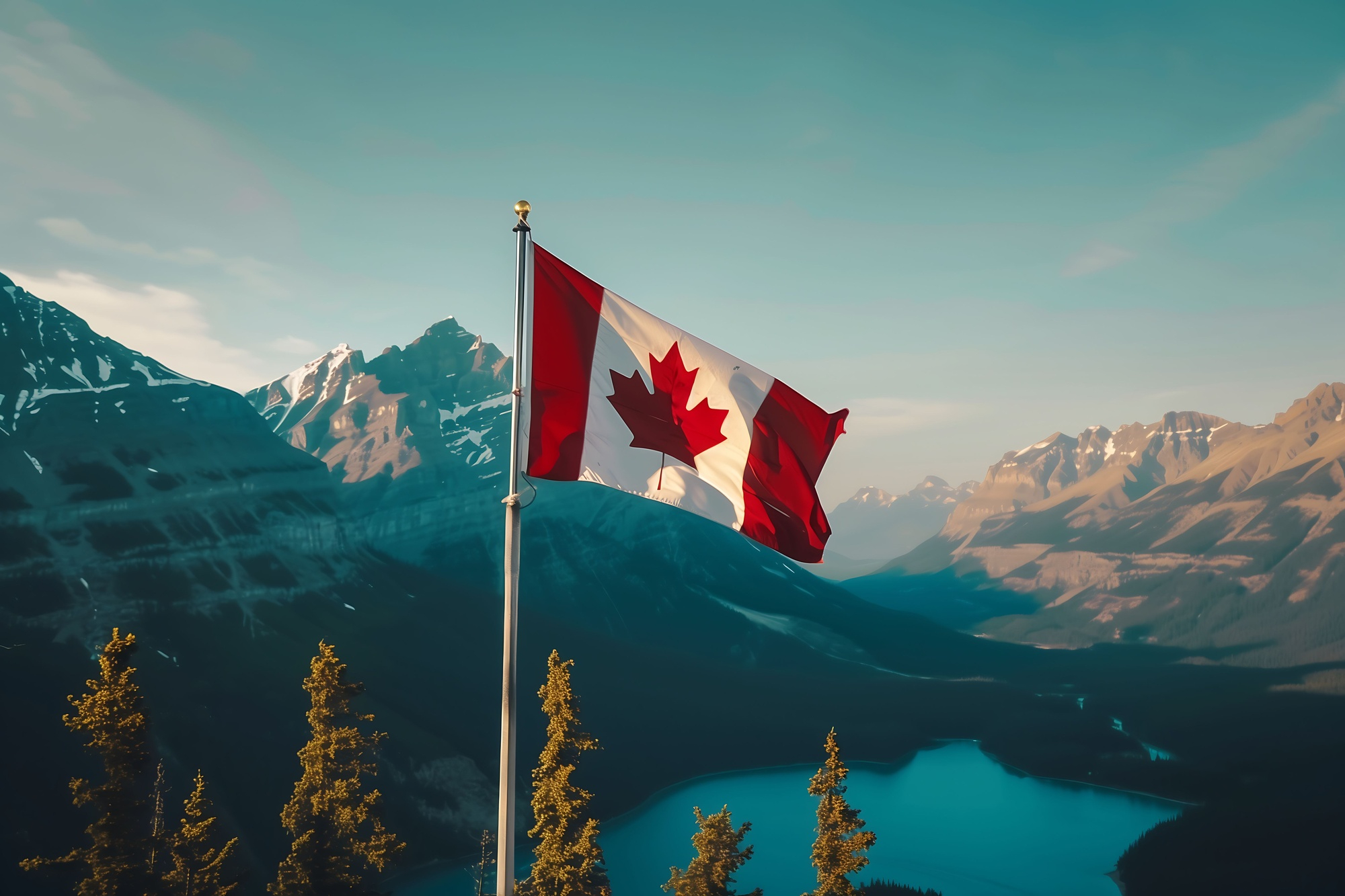 Canada MSB-Registered Company for Sale